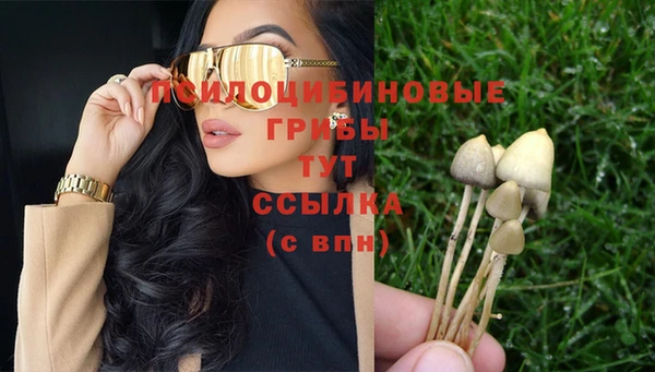 прущие крисы Нея