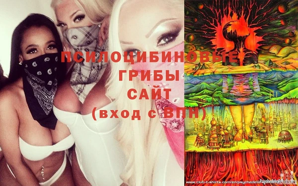 синтетический гашиш Нефтекумск