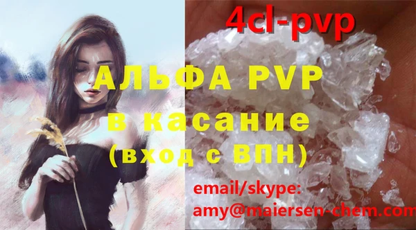 стафф Новозыбков
